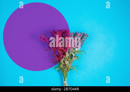 Fiori di lavanda su uno sfondo di colore con la grafica decorativa Foto Stock