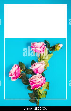 Rose rosa su uno sfondo colore con la grafica decorativa Foto Stock