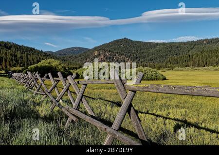 Estate nella Squaw Valley California. Foto Stock