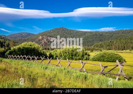 Estate nella Squaw Valley California. Foto Stock