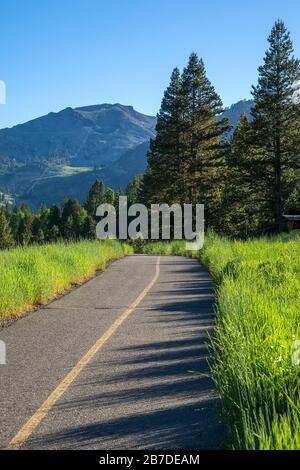 Estate nella Squaw Valley California. Foto Stock