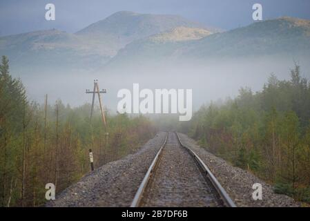 Nebbia mattutina sulla linea ferroviaria polare Vorkuta - Labytnangi. Urale polare, Russia Foto Stock