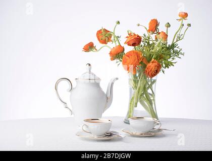 Bianchi puliti e croccanti con finiture in oro metallizzato che mostrano il tè per due con fiori d'arancio freschi in un vaso alto e trasparente su uno sfondo bianco dello studio Foto Stock