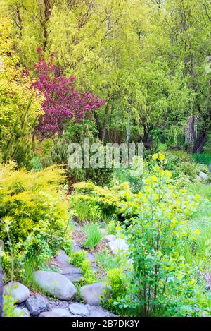 Giardino roccioso tra alberi e cespugli con foglie fresche e colorate, fiori luminosi in fiore nella calda giornata primaverile. Foto Stock