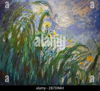 Irises Giallo 1924-1925 Di Claude Monet.(1840-1926) Oscar-Claude Monet Foto Stock