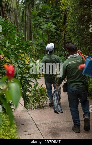 Giardinieri visti al lavoro nel Giardino Botanico di Singapore, Foto Stock