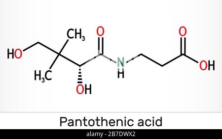 Acido pantotenico (vitamina B5, pantotenato). Formula chimica strutturale e modello di molecola. Illustrazione Foto Stock