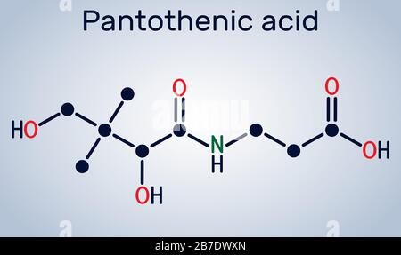 Acido pantotenico, vitamina B5, molecola di pantotenato. Formula chimica strutturale. Illustrazione vettoriale Illustrazione Vettoriale