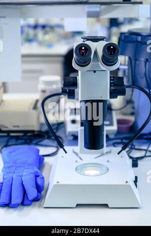 Stereomicroscopio ricerca bioscienza farmaceutica in laboratorio. Concetto di scienza, laboratorio e studio delle malattie. Foto Stock