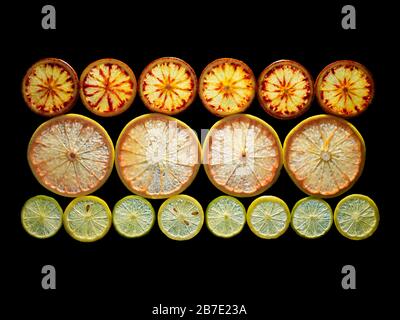Ritratto retroilluminato di varie fette di agrumi. Pompelmo rosa, arance sanguigne e lime. Foto Stock