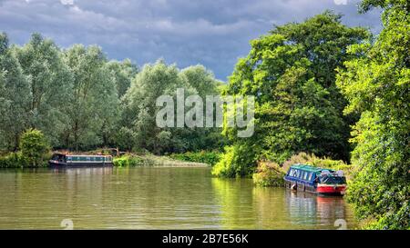 Barche a remi ormeggiate sul Tamigi, Oxfordshire, vicino Abingdon, Inghilterra, Regno Unito, Regno Unito Foto Stock