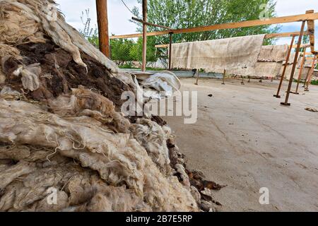 Capelli di pecora impilati per fare il feltro con tessuti di feltro appesi sullo sfondo in Issyk Kul, Kirghizistan Foto Stock