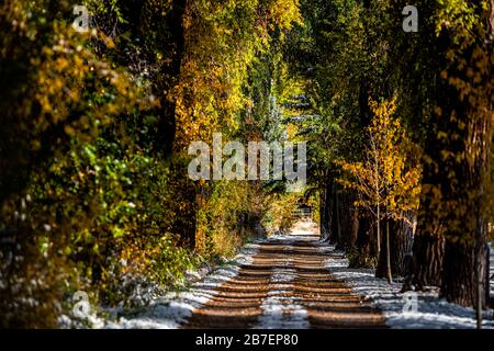 Aspen piccola città negli Stati Uniti del Colorado con strada strada Treelined con alberi di fogliame autunnale e neve in città alba mattina nel cimitero di Red Butte Foto Stock