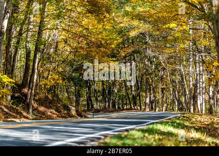 Vista degli alberi della strada con nessuno che conduce ai boschi della foresta nelle montagne appalachiane sulla strada 220 a Bath County, Virginia Foto Stock