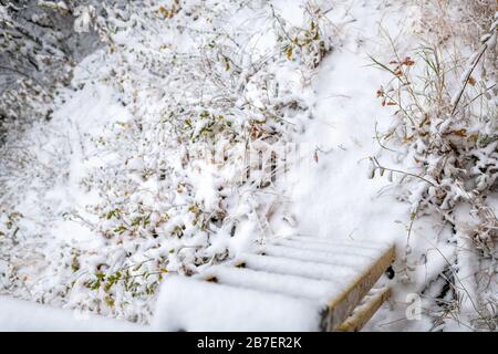 Casa proprietà con vista ad angolo alto di scala a ponte in cortile e autunno fogliame su piante con neve che copre foglie terra Foto Stock