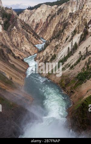 Guardando lungo il fiume Yellowstone dalla cima delle Lower Falls, mentre la nebbia sale e le rapide tagliano un percorso attraverso il Grand Canyon del Yellowstone AT Foto Stock