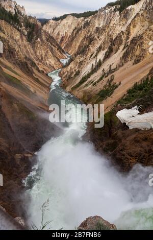 Guardando lungo il fiume Yellowstone dalla cima delle Lower Falls, mentre la nebbia sale e le rapide tagliano un percorso attraverso il Grand Canyon del Yellowstone AT Foto Stock