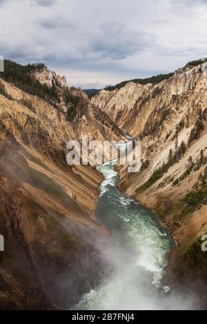 Guardando lungo il fiume Yellowstone dalla cima delle Lower Falls, mentre la nebbia sale e le rapide tagliano un percorso attraverso il Grand Canyon del Yellowstone AT Foto Stock