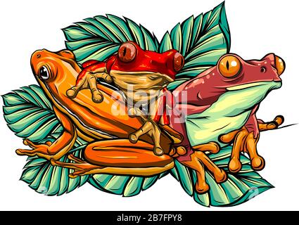Happy Frog seduto su UN cartoon foglia. Imposta vettore Illustrazione Vettoriale