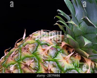 primo piano di ananas con lasciare verde isolato su sfondo nero Foto Stock