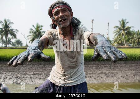 Il lavoro è un input critico nella produzione agricola. Rappresenta oltre la metà dei costi di produzione. Foto di un po' di lavoro agricolo. Foto Stock