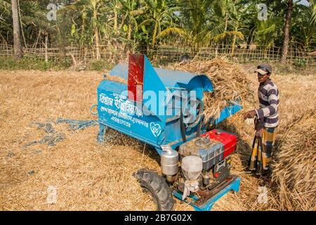 Il lavoro è un input critico nella produzione agricola. Rappresenta oltre la metà dei costi di produzione. Foto di un po' di lavoro agricolo. Foto Stock