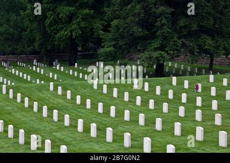 Pietre bianche circondate da alberi al cimitero nazionale di Grafton, Virginia occidentale Foto Stock