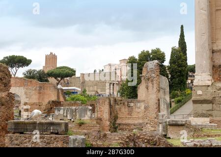 Veduta del Foro Romano con gabbiano a Roma Foto Stock