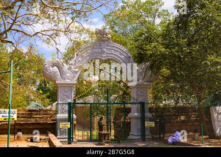 Sri Lanka Ceylon Cultural Triangle Anuradhapura ingresso Sri Maha Bodhi Tree tempio complesso originale dal 3 ° secolo AC principessa Sanghamitta Foto Stock