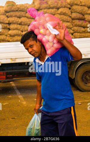 Sud Asia Sri Lanka Ceylon Dambulla Centro economico all'ingrosso mercato vegetale & frutta sacco rosso di plastica portatore di zucche camion sacchi Foto Stock