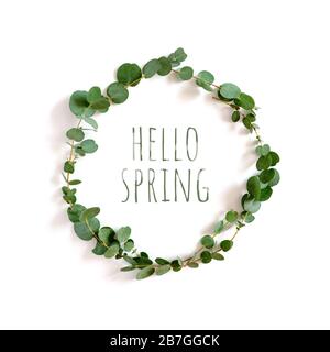 Corona fatta di rami di eucalipto con citazione Ciao primavera su sfondo bianco. Foto Stock
