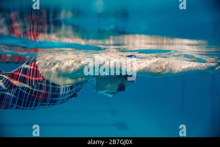 Nuotatore femminile in piscina, vista subacquea