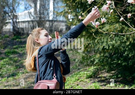 Giovane donna che si abbona foto di fiori bianchi di magnolia al parco cittadino. Giardino botanico di Fomin, Kiev, Ucraina Foto Stock