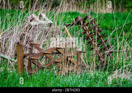 Vecchi e arrugginiti dispositivi agricoli per la coltivazione del suolo situati in erba alta, Austria Foto Stock