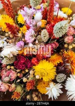 Vivace bouquet di fiori secchi rosso e giallo Foto Stock