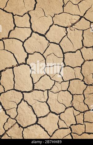 Foto orientata verticalmente di suolo secco cracked disidratato. Calore, siccità, cambiamento climatico, concetto di riscaldamento globale. Sfondo texture astratto Foto Stock