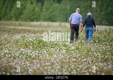 Coppia matura a piedi attraverso un campo di fiori mano nella mano Foto Stock