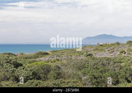 Parco naturale di Cabopino - Dunas de Artola, Marbella, Costa del Sol, Andalusia, Spagna. Foto Stock