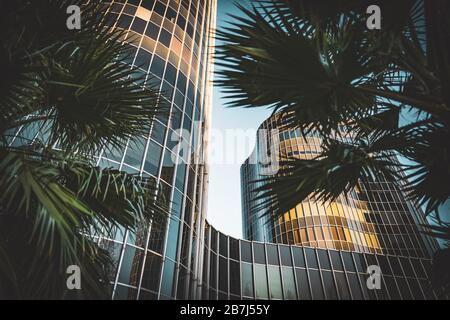 Edifici di uffici al tramonto tra le palme Foto Stock