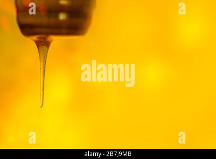 Schizzi di miele dolce biologico. Immersione del miele dal cucchiaio di miele di legno. Spazio per il testo. Foto Stock