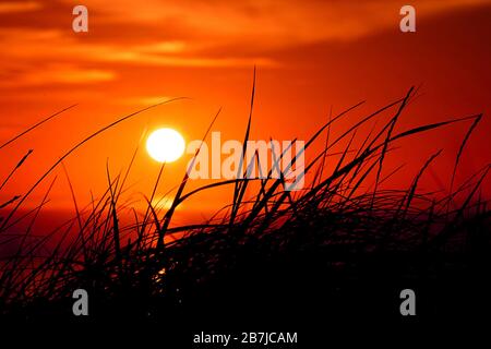 Bellissimo tramonto vicino a Blavand, Danimarca Foto Stock