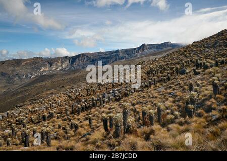 Paesaggio di montagna nelle Ande Foto Stock