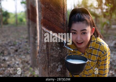 Ritratto giardiniere giovane asea donna guardare una tazza piena di para latte crudo di gomma di albero in piantagione gomma maschiatura forma Thailandia, buoni prodotti agricoli, H Foto Stock