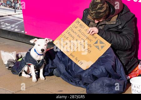 Uomo senza tetto con cane in Princes Street a Edimburgo, Scozia, Regno Unito Foto Stock