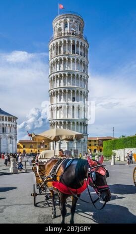Il campanile, il campanile indipendente della Cattedrale di Pisa in Piazza dei Miracoli, l'iconica Torre Pendente di Pisa, Toscana, Italia Foto Stock