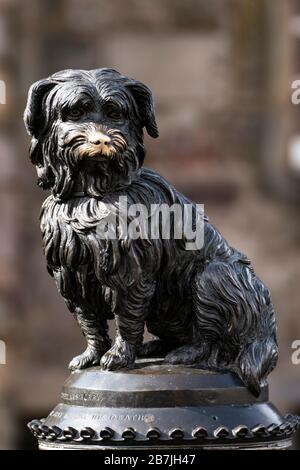 Dettaglio della famosa statua di bronzo del cane Greyfriars Bobby accanto a Greyfriars Kirkyard nel centro storico di Edimburgo, Scozia, Regno Unito Foto Stock