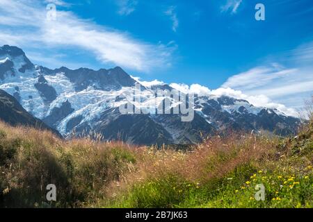 Collina erbosa con ghiacciai e montagne innevate, Parco Nazionale Aoraki/Mount Cook, Isola del Sud, Nuova Zelanda Foto Stock