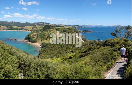 Uomo escursioni sulla penisola di Mahinepua e Bay Walking Track, Kaeo⁩, ⁩Bay delle isole, Northland North Island, Nuova Zelanda Foto Stock