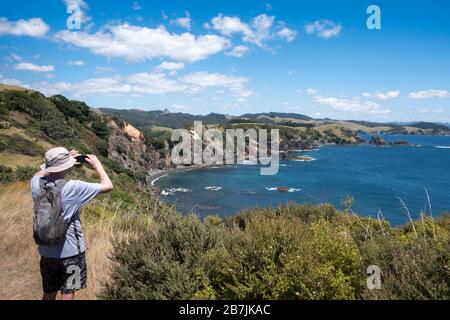 Uomo escursioni sulla penisola di Mahinepua e Bay Walking Track, Kaeo⁩, ⁩Bay delle isole, Northland North Island, Nuova Zelanda Foto Stock