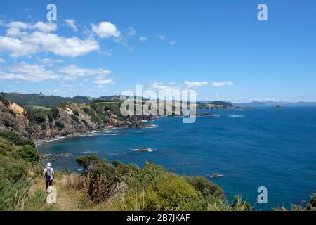 Uomo escursioni sulla penisola di Mahinepua e Bay Walking Track, Kaeo⁩, ⁩Bay delle isole, Northland North Island, Nuova Zelanda Foto Stock